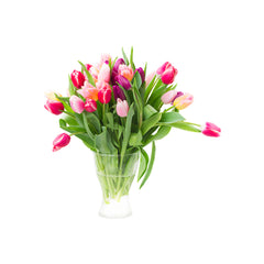 Exquisite Arrangement