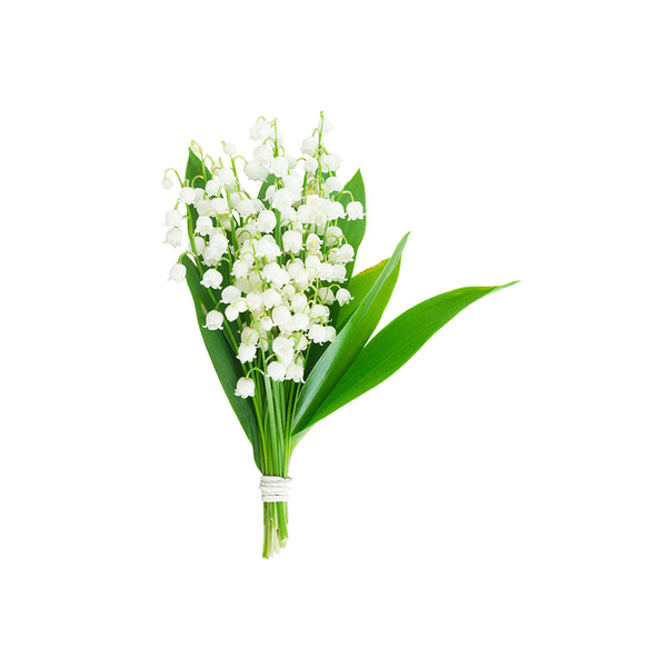 Exquisite Arrangement