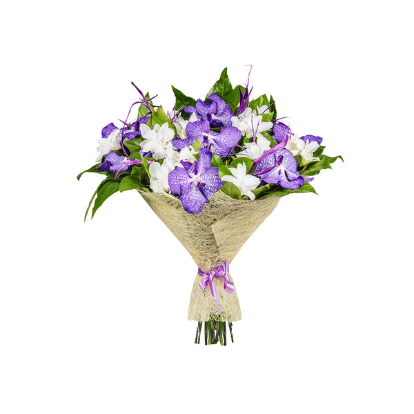 Dozen Mixed Carnations